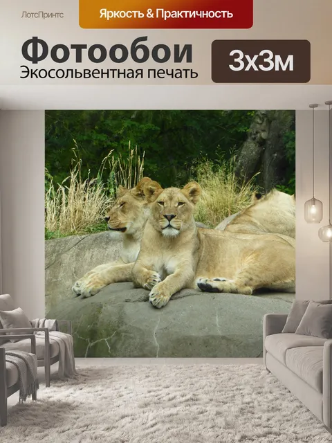 Фотообои Лев