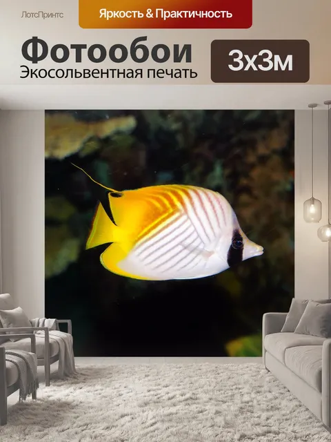 Фотообои Аквариум