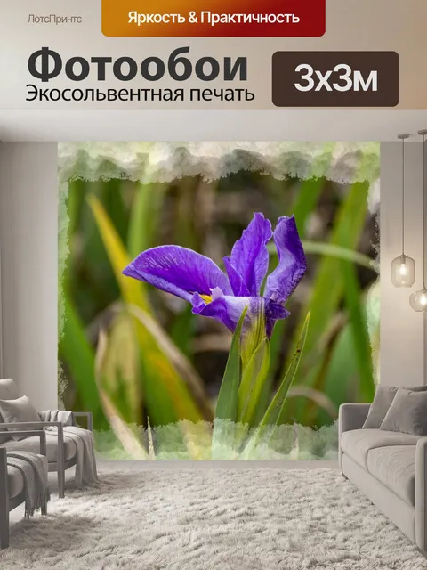 Фотообои Фиолетовый ирис
