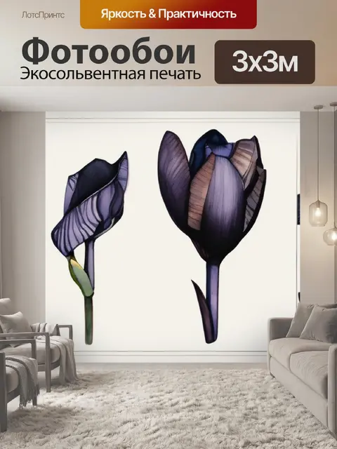 Фотообои черный ирис