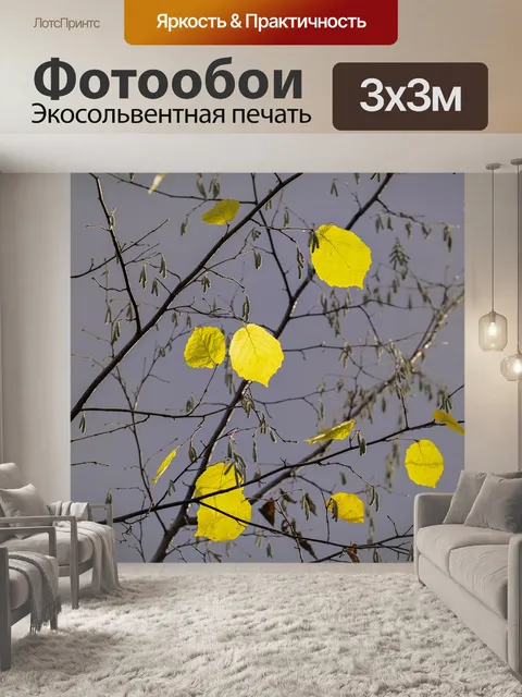 Фотообои Березовые листья