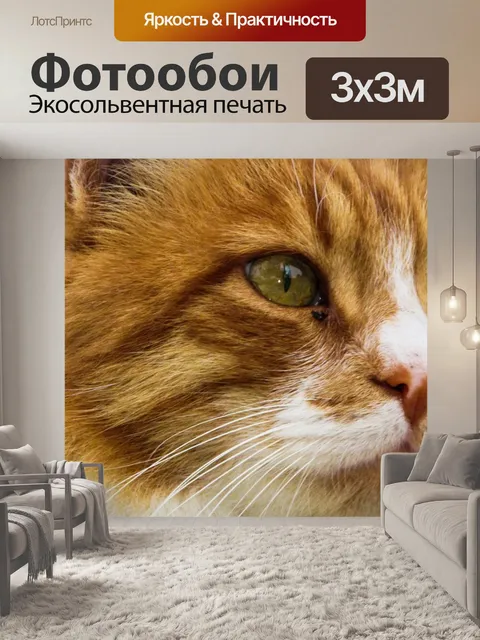 Фотообои Кошка
