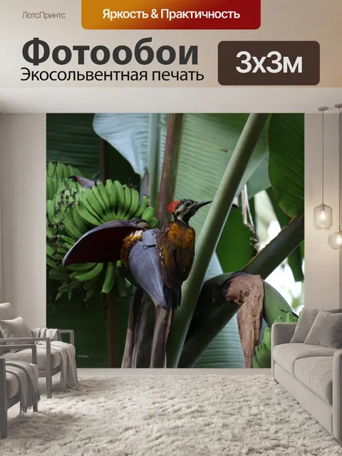Фотообои Птица