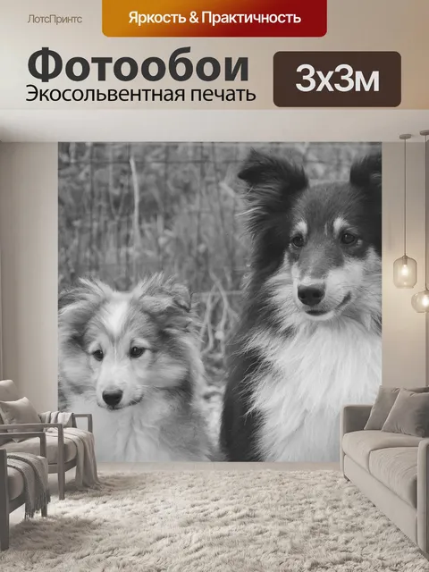 Фотообои Собака