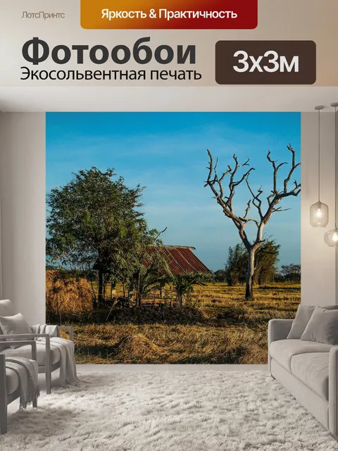 Фотообои Мертвое дерево, силуэт дерева