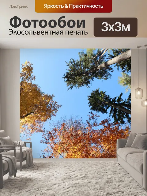 Фотообои Лес
