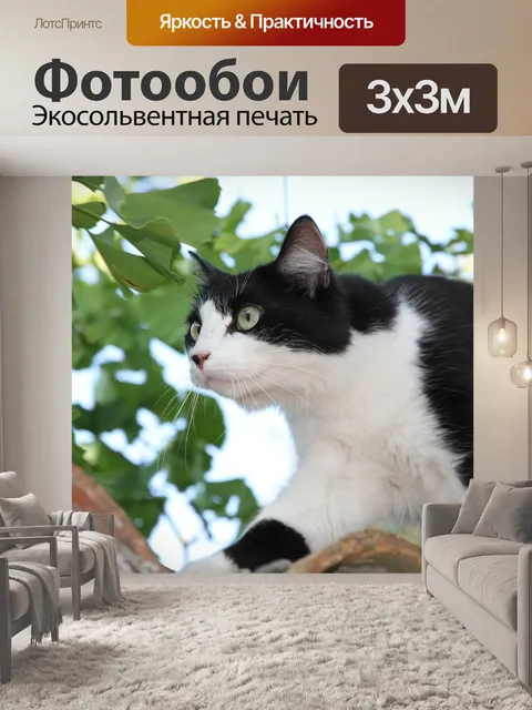 Фотообои Кошка