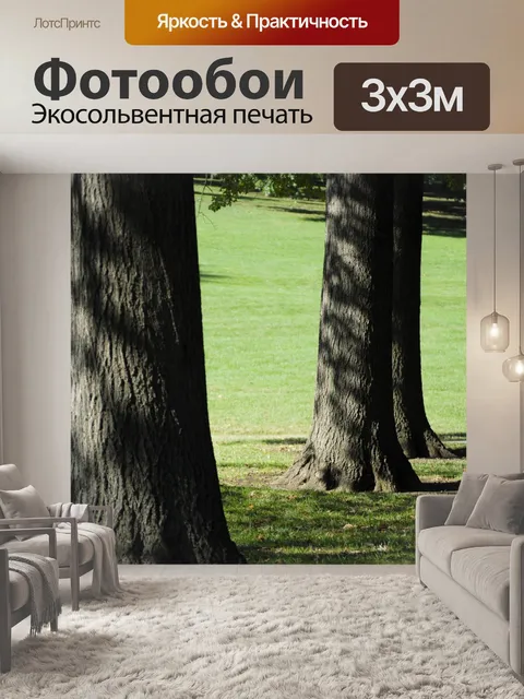 Фотообои Деревья в парке