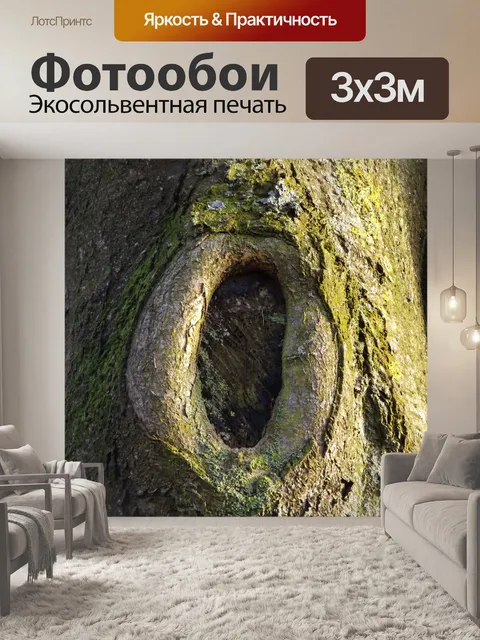 Фотообои Фон