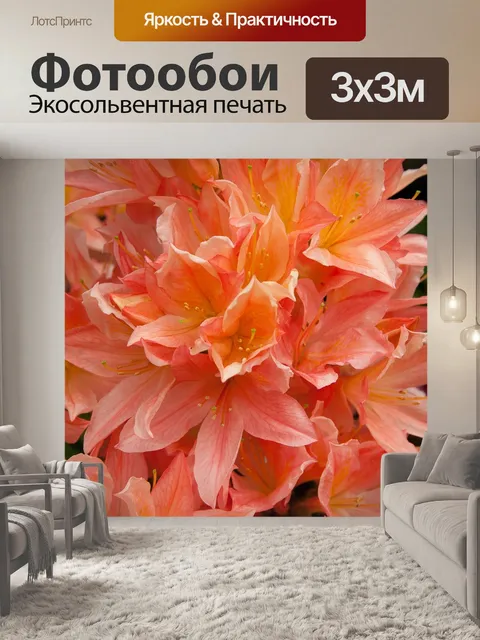 Фотообои Цветок