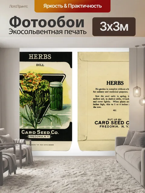 Фотообои Пакет с семенами укропа