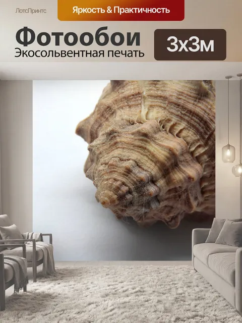 Фотообои Море улитки