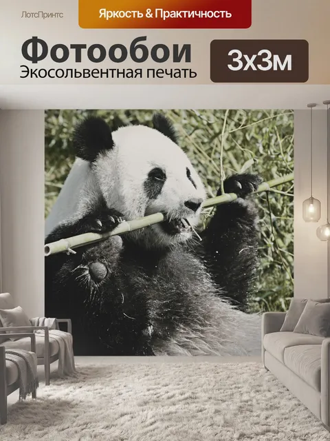 Фотообои Панда