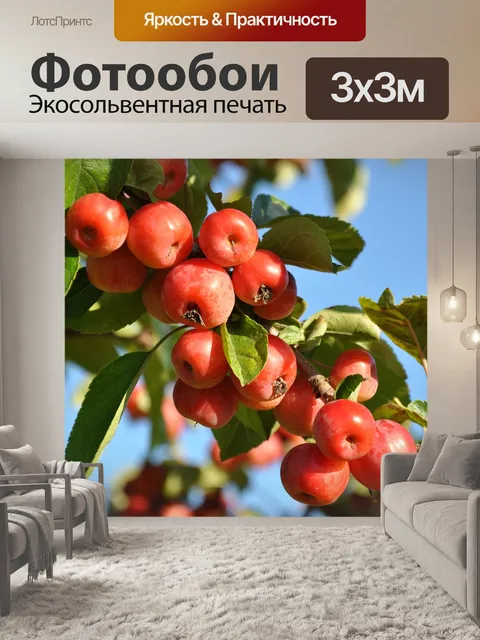 Фотообои Слива