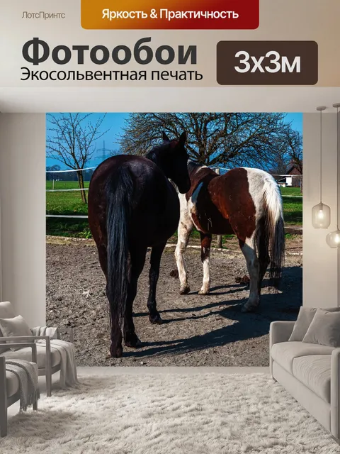 Фотообои Лошадь картинки