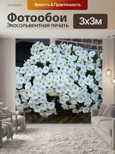 Фотообои Голландские цветы сады 84