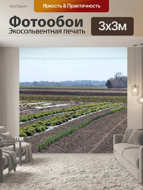 Фотообои Овощи