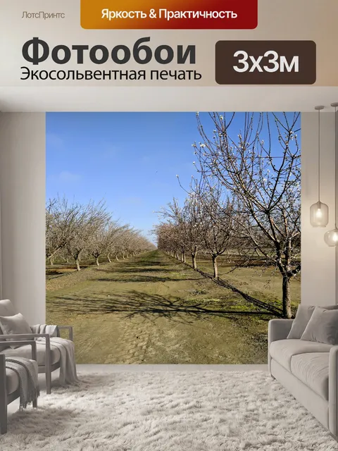 Фотообои яблоневым садам