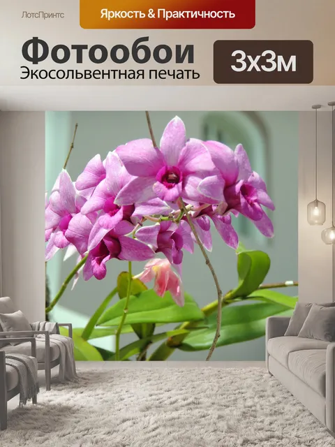 Фотообои фиолетовые цветы орхидеи