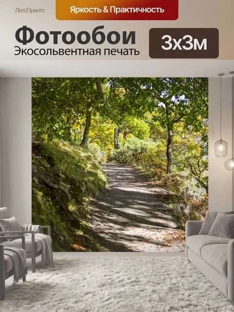 Фотообои лес