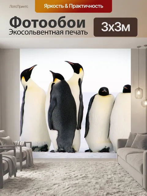 Фотообои Пингвины