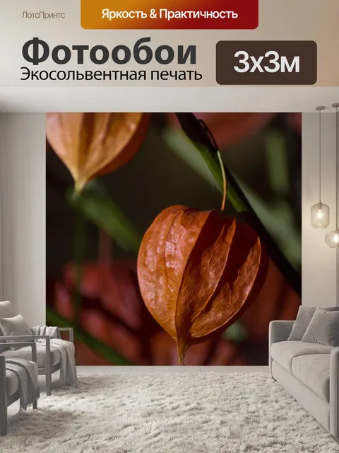 Фотообои Растение