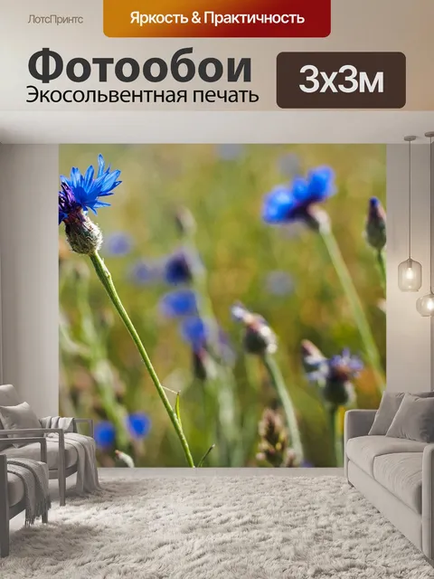Фотообои Васильковый
