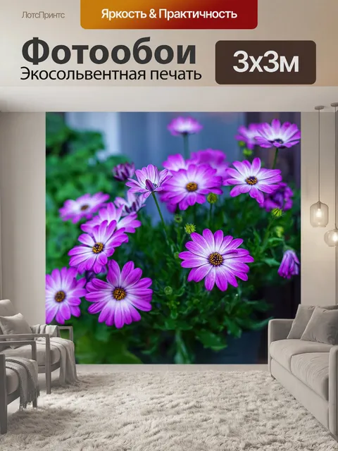 Фотообои Гербера