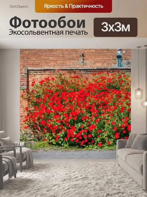 Фотообои красные цветы на фоне старого кирпичного забора, создают контраст с историческим окружением