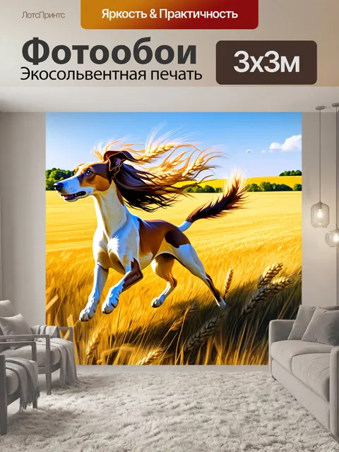 Фотообои на фоне раннего пейзажа с золотыми полями пшеницы, гибридный салюки бежит, его шерсть развевается на ветру