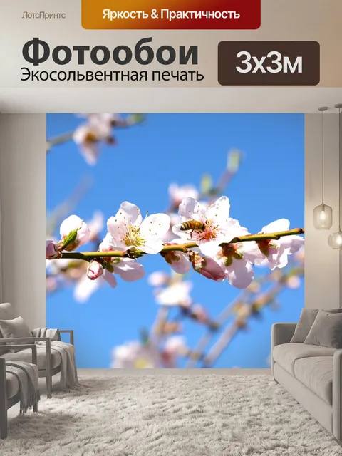Фотообои Розовый