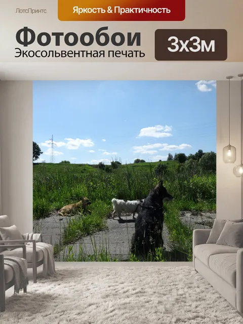 Фотообои Собаки на прогулке