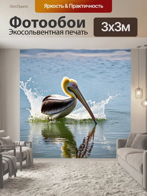 Фотообои пеликан, кормящийся в мелководье, ловко ныряя за рыбой