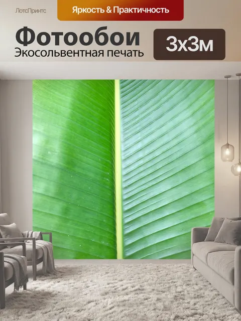 Фотообои Ладонь