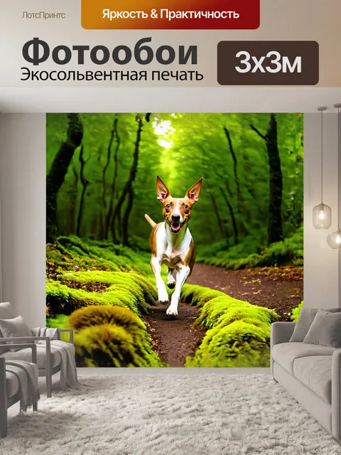 Фотообои на фотографии представлена собака басенджи, резво бегущая сквозь зеленый лес