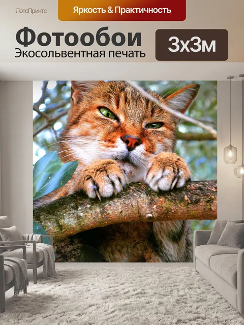 Фотообои Кошка