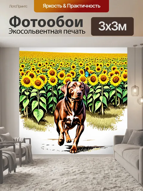 Фотообои лабрадор на поле с подсолнухами, занятый охотой за бабочкой