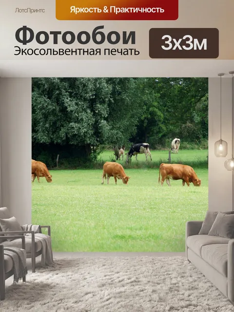 Фотообои Крупный рогатый скот коровы пасут молочн