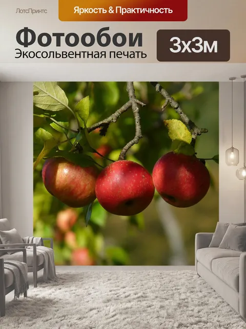 Фотообои Яблоко