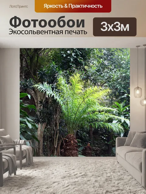 Фотообои субтропическая растительность