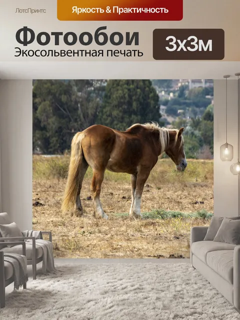 Фотообои Лошадь в поле