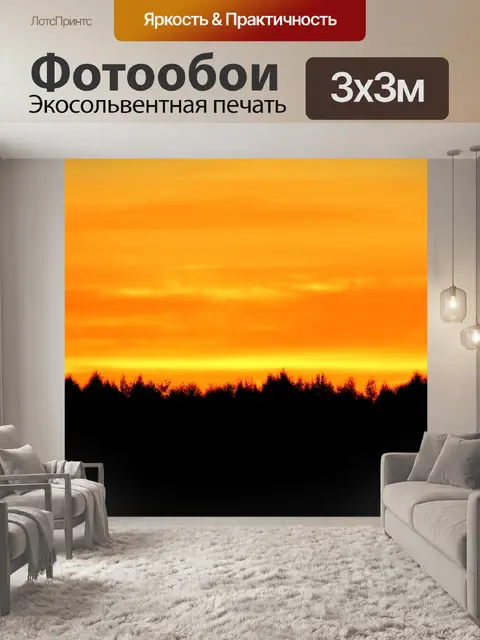 Фотообои Силуэт
