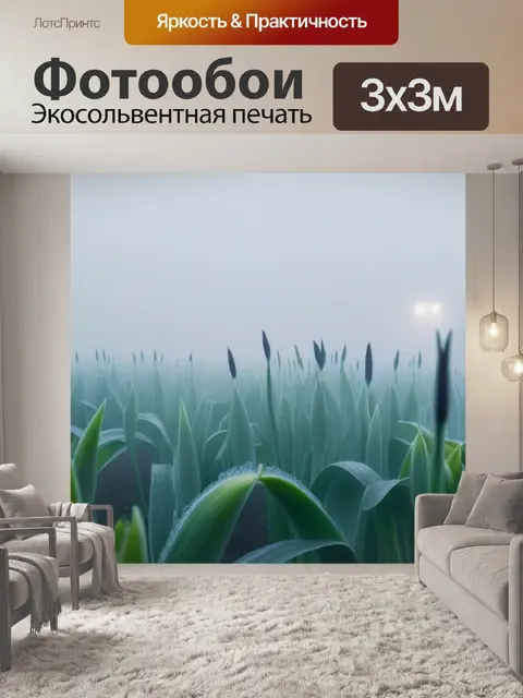 Фотообои тюльпаны в туманном утре