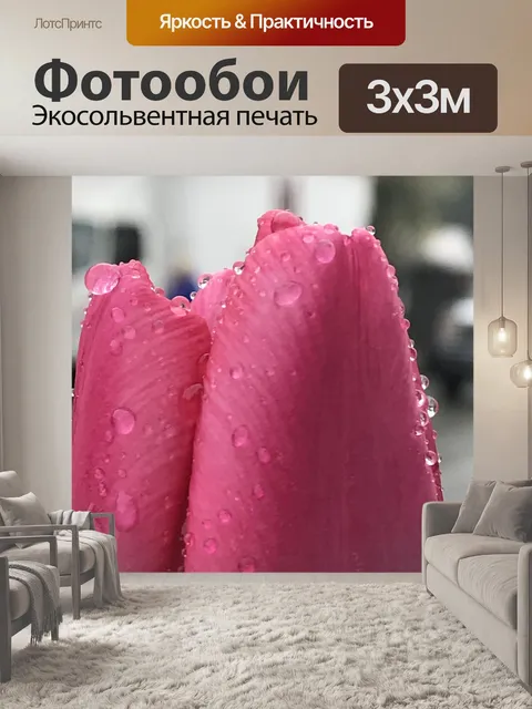 Фотообои Цветок