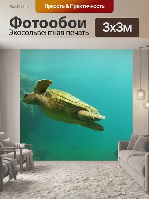 Фотообои Черепаха