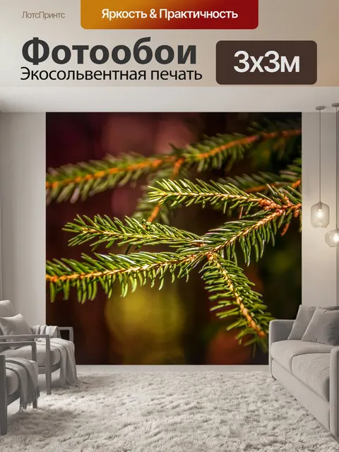 Фотообои Еловая ветка
