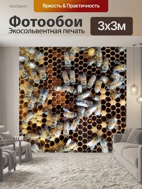 Фотообои Пчелы