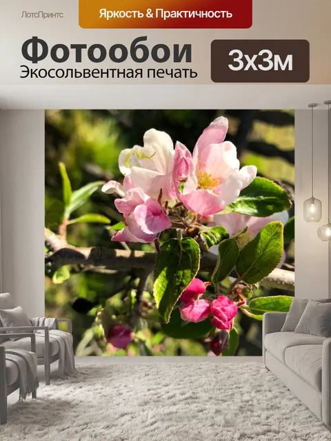Фотообои Яблоневый цвет