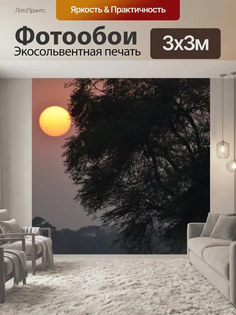 Фотообои Солнце садится