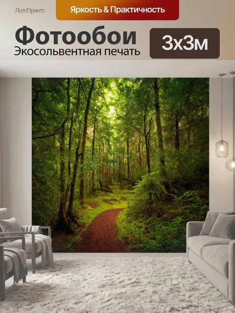 Фотообои дремучий лес со скрытыми тропами и мягким светом, проникающим сквозь кроны